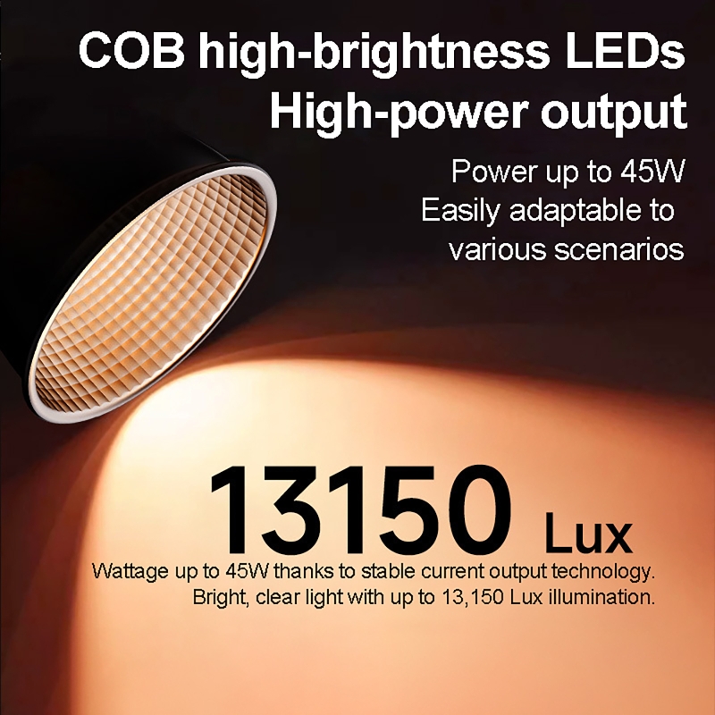 60W RGB Video Light Portable L - đánh giá và giá Photography Lighting Box
